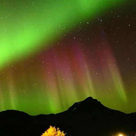 Norwegian Dream Leilighet Gratangen Eksteriør bilde