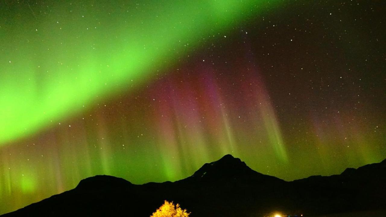 Norwegian Dream Leilighet Gratangen Eksteriør bilde