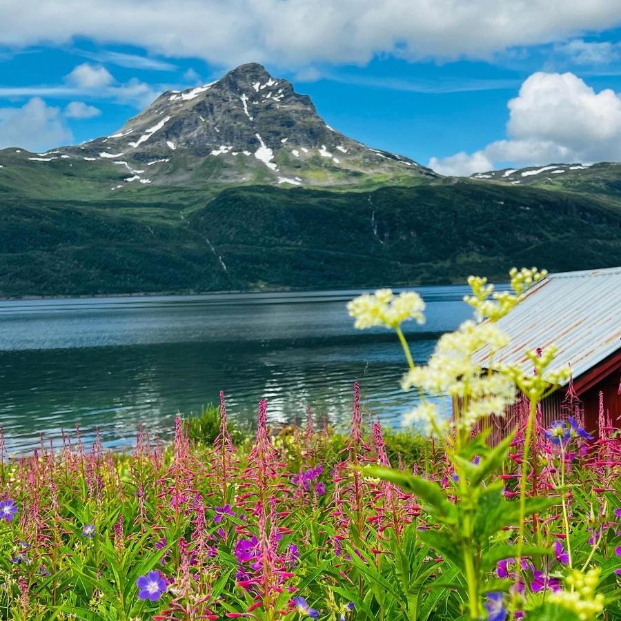 Norwegian Dream Leilighet Gratangen Eksteriør bilde