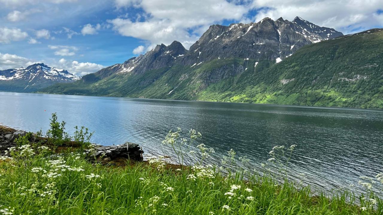 Norwegian Dream Leilighet Gratangen Eksteriør bilde