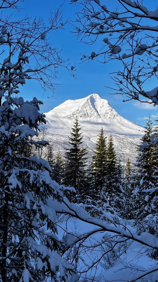 Norwegian Dream Leilighet Gratangen Eksteriør bilde